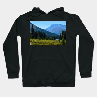 Higher up the Trail. Hoodie